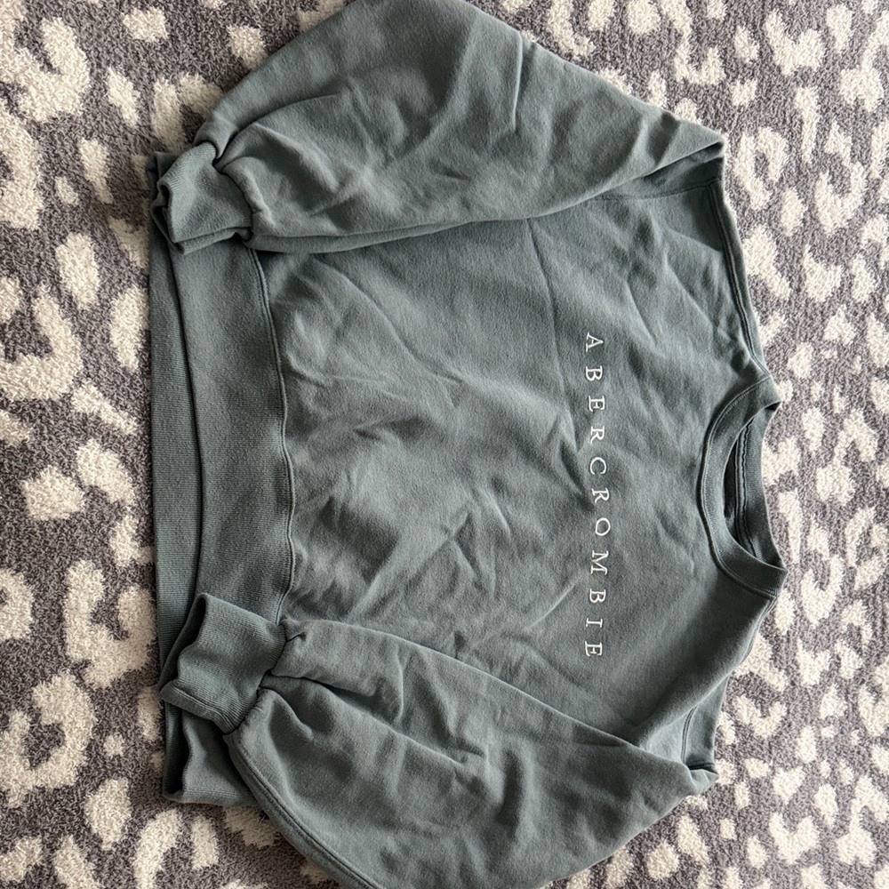 Abercrombie & Fitch Slate Sweatshirt